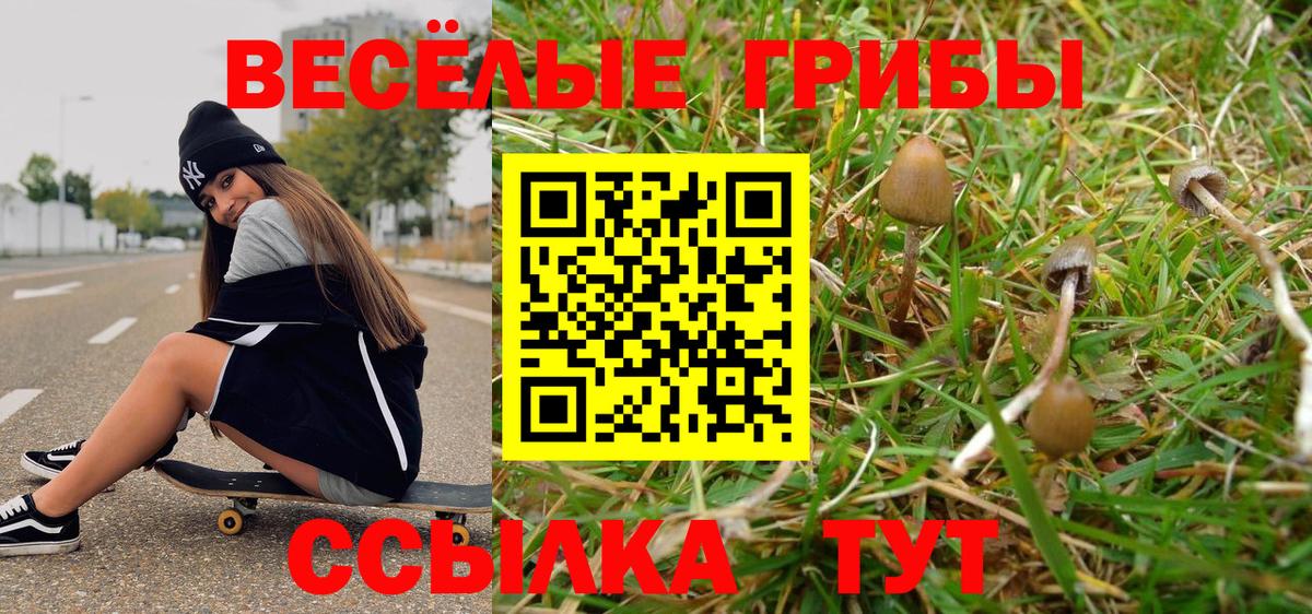 Галлюциногенные грибы мухоморы Рославль