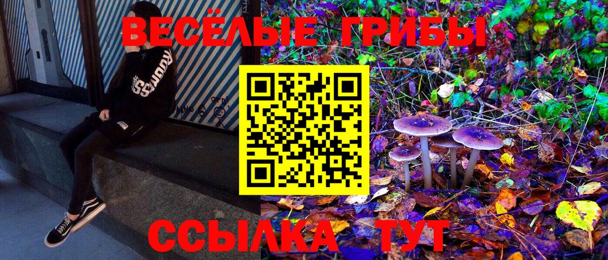 Псилоцибиновые грибы MAGIC MUSHROOMS  Вход с VPN  Рославль  Галлюциногенные грибы мухоморы 